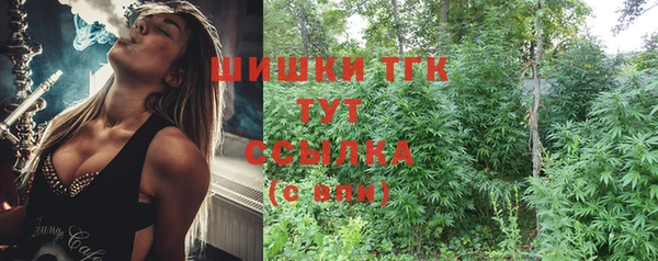 2c-b Новозыбков