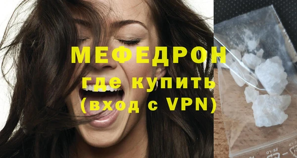 индика Новодвинск