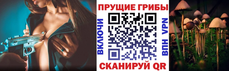 Псилоцибиновые грибы прущие грибы  где продают наркотики  Торопец 