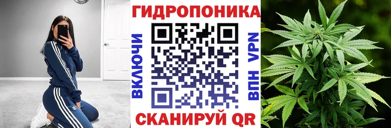 Бошки марихуана ГИДРОПОН  KRAKEN онион  Торопец 